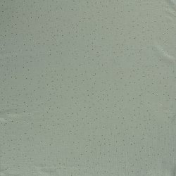 Muslin med guld - Dusty mint